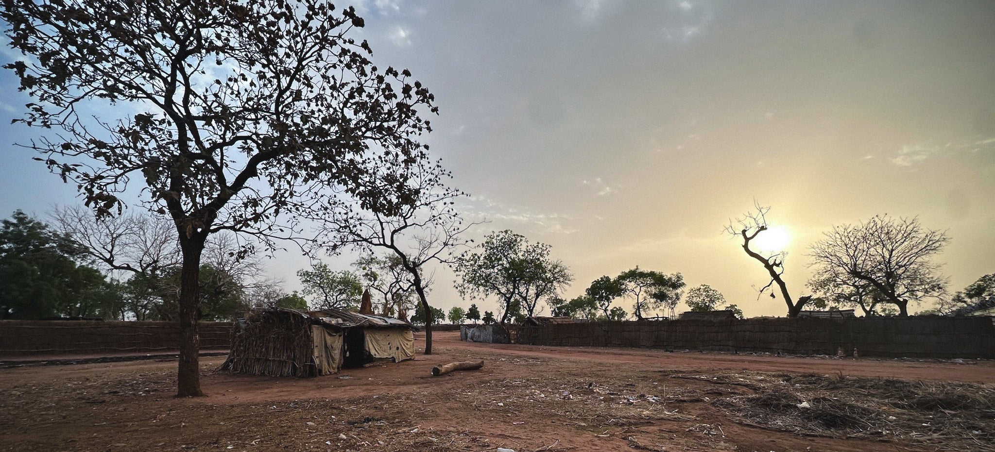Deserted area with trees and a building at sunset.