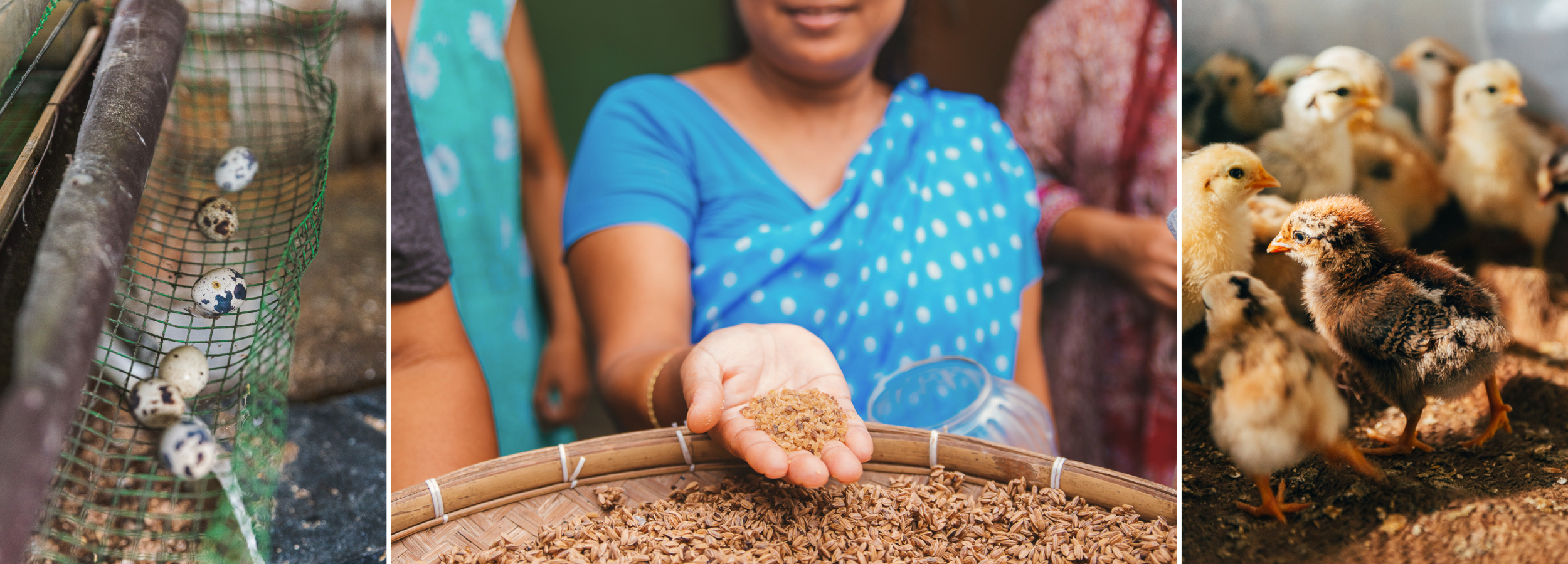 Small business owner in India